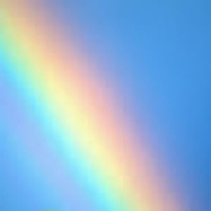 Meet your Posher, Sidney